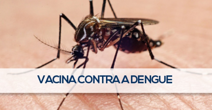 Primeira vacina contra a dengue é aprovada no Brasil