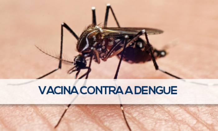 Primeira vacina contra a dengue é aprovada no Brasil